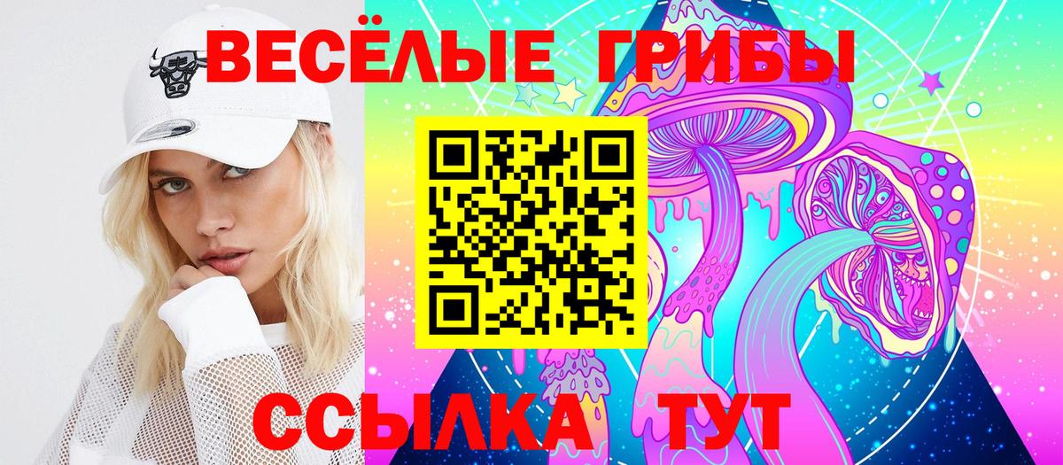 Псилоцибиновые грибы ЛСД Александров