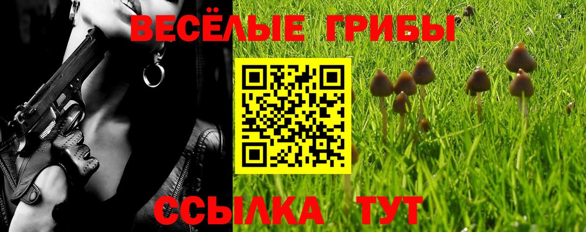 Александров  Галлюциногенные грибы ЛСД  Вход с VPN 